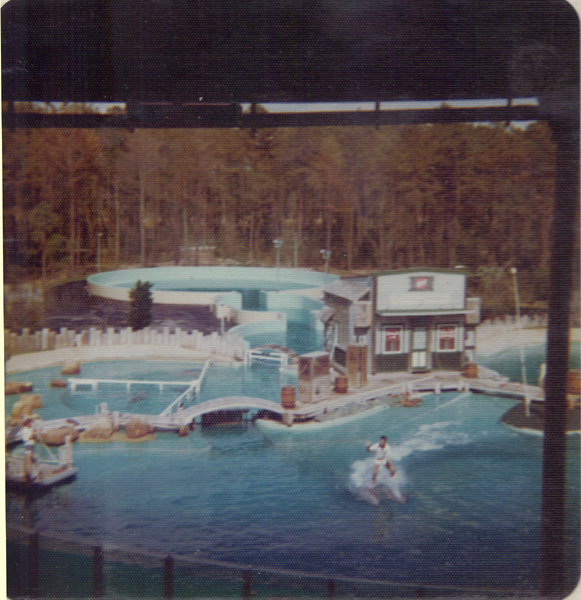 Pre 1980 (112)
