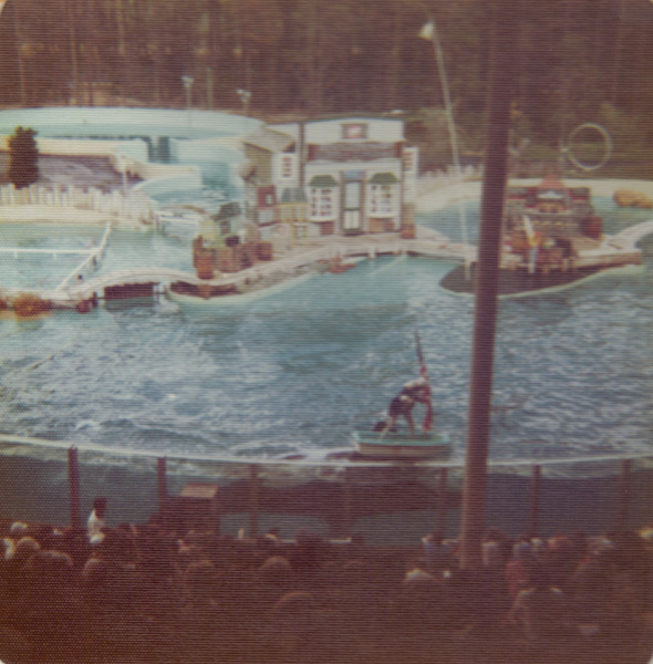 Pre 1980 (116)