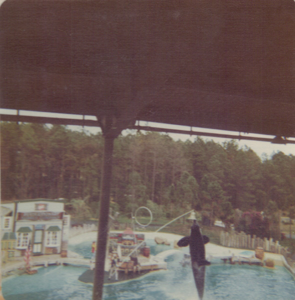 Pre 1980 (149)