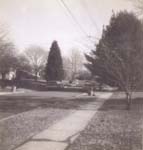 Pre 1980 (119)