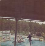 Pre 1980 (149)