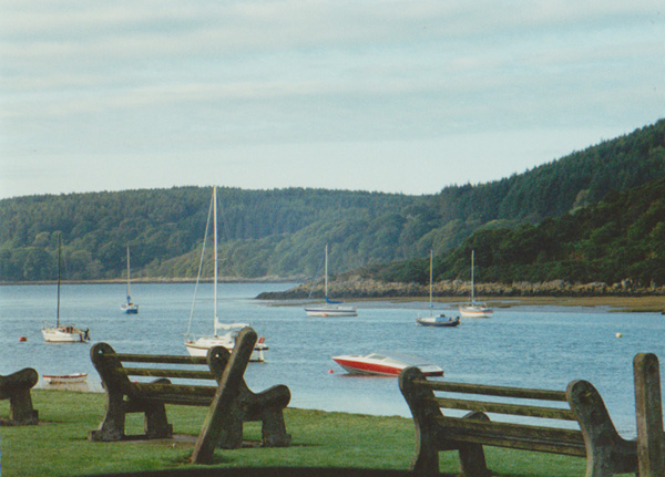 1993 (177)