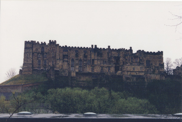 1993 (396)