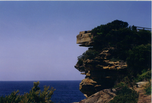 1998 (537)
