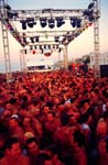 Pines Party 1
