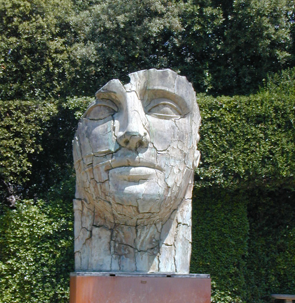 Face
