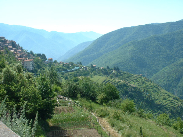 View from Hotel