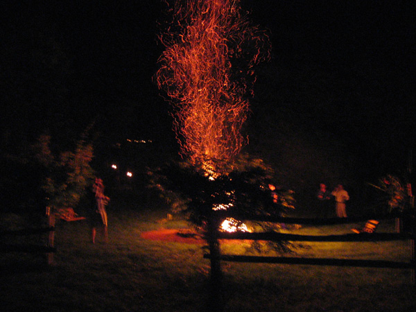 Bonfire 1