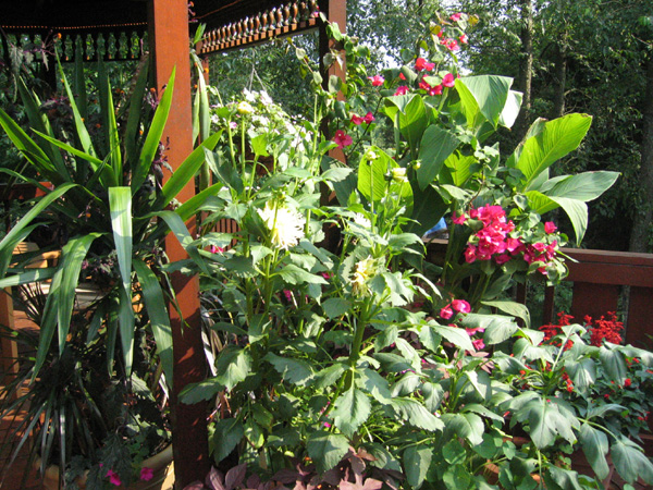 Deck 2