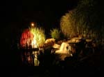 Pond at Night 2