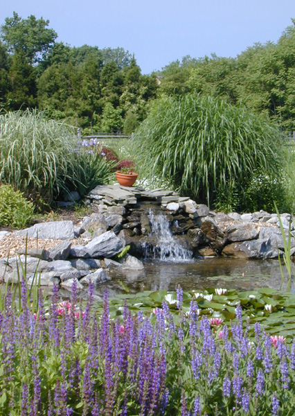 Big Pond 3_7