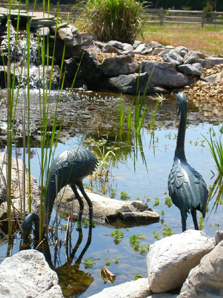 Cranes_13