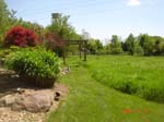 6  garden1
