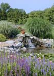 Big Pond 3_7