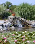 Big pond 1