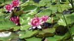 CIMG0595