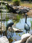 Cranes_13