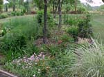 Front Beds 2