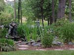 Front Pond 1_56