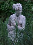 Lady 2