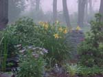 Misty Bed_74
