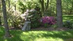 Mothers Day 2009 Front Fountain_82